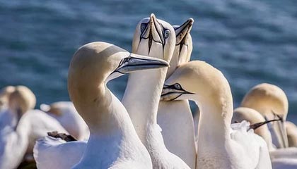 开云体育官方网站-WTT重庆冠军赛：周启豪1-3不敌林昀儒止步16强